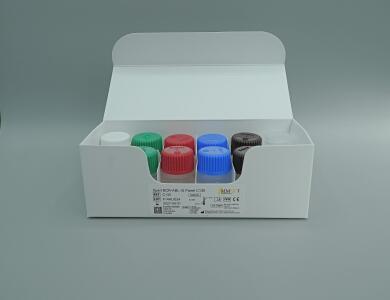 Xpert BCR ABL IS Panel Control C130