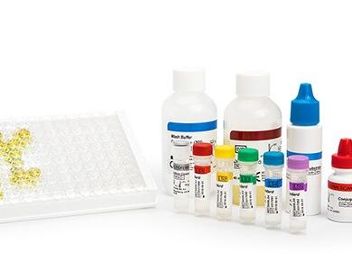 TECHLAB lactoferrin scan imga 545 LabRaum