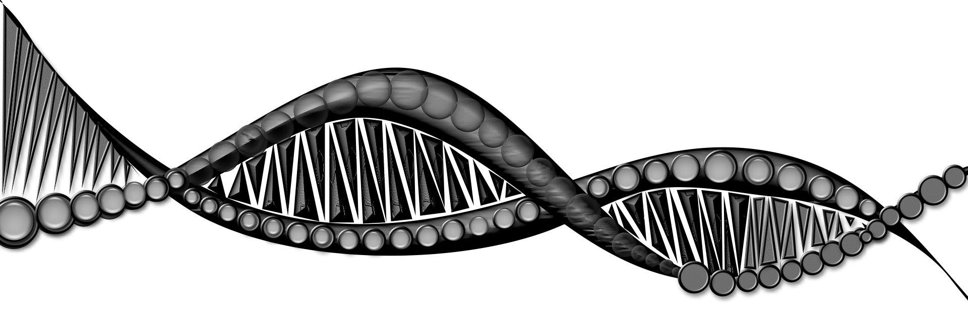 dna